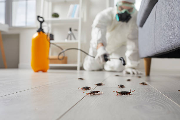 Commercial Kitchen Cockroach Control in Chalfant